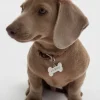 Fashion Chapita Personalizable Dog Collares Personalizables