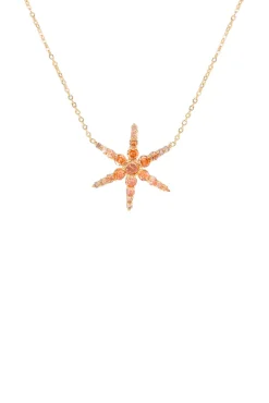 Fashion Collar Estrella Marrón Collares Con Colgante